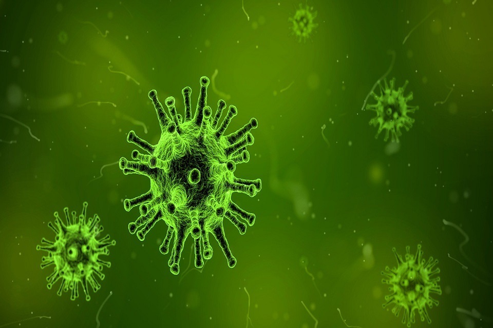 Picture shows the flu virus germ